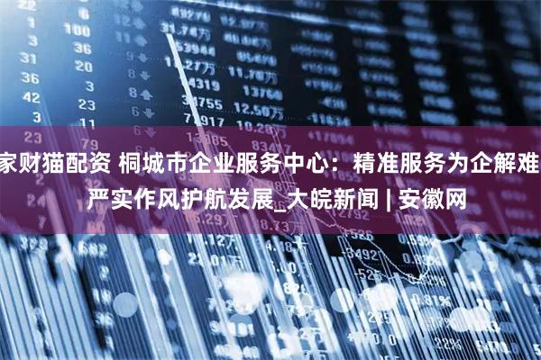 家财猫配资 桐城市企业服务中心：精准服务为企解难   严实作风护航发展_大皖新闻 | 安徽网