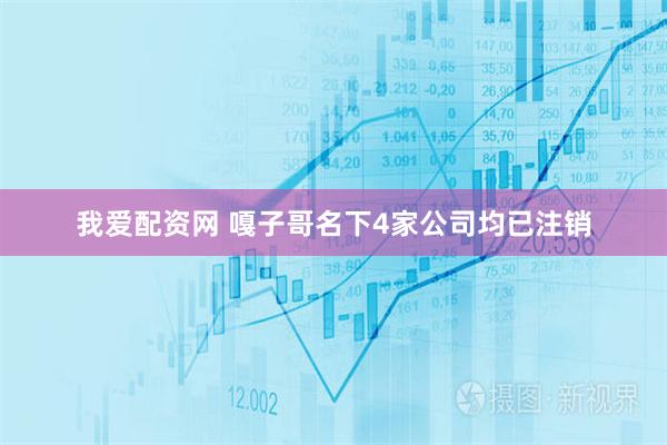 我爱配资网 嘎子哥名下4家公司均已注销