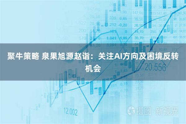 聚牛策略 泉果旭源赵诣：关注AI方向及困境反转机会