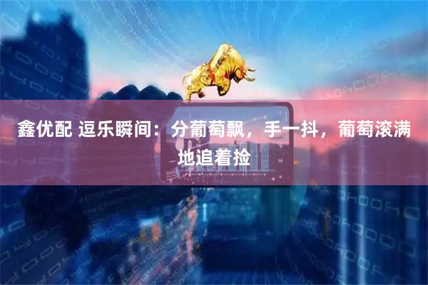 鑫优配 逗乐瞬间：分葡萄飘，手一抖，葡萄滚满地追着捡