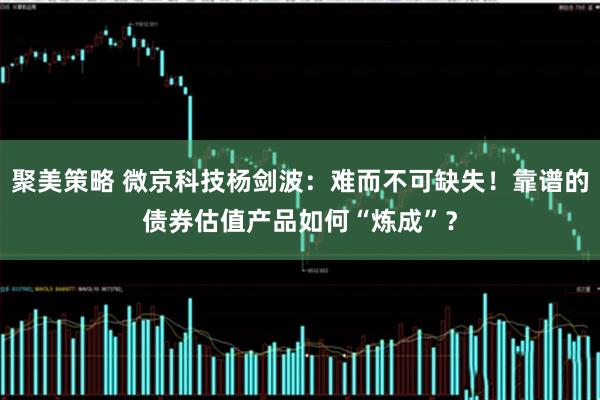 聚美策略 微京科技杨剑波：难而不可缺失！靠谱的债券估值产品如何“炼成”？